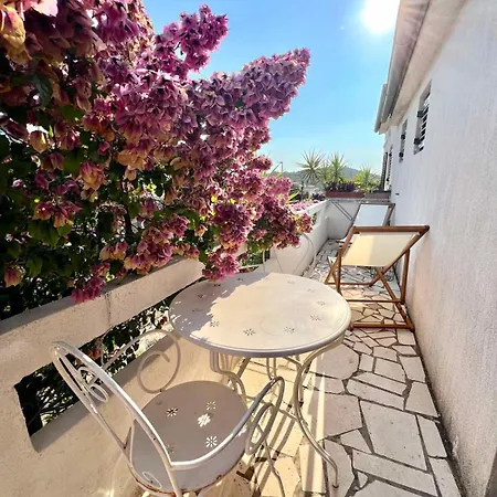 Tolic Apartment *